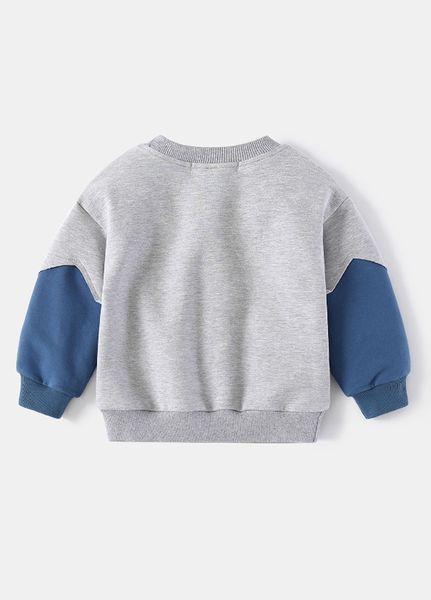 Дитячий світшот для хлопчика WELLKIDS 92 см сірий 70404219 фото