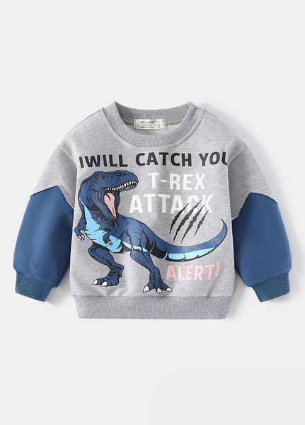 Дитячий світшот для хлопчика WELLKIDS 92 см сірий 70404219 фото
