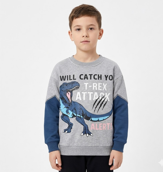 Дитячий світшот для хлопчика WELLKIDS 92 см сірий 70404219 фото